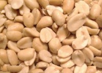 US researchers' new finding might prevent peanut allergy