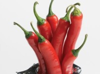 Nicotine contained food may reduce the risk of Parkinson's