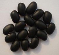 Research links eating cooked black beans to lowered risks of cancer