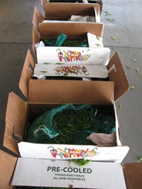 Ebproduce SA de RL Recalls Fresh Thai Peppers Due to Possible Health Risk