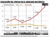 Floods cause increased tomato price Argentina