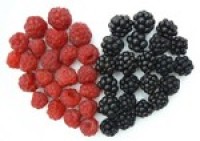 Dietary antioxidants backed for lower heart attack risk in women