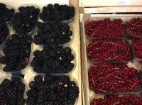 Summer fruit and leaf lettuce needed in gastronomy