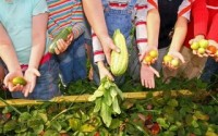 Cyclospora Outbreak Highlights Differing Epidemiology Philosophies
