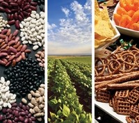 Invisible nutrition: bean ingredients benefit formulations