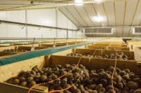 Mechanical cooling increased the storage turnover