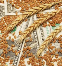 2013 commodity outlook