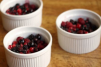 Foodborne illness from berries created by researchers