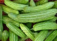Bitter melon juice potently suppresses pancreatic cancer growth