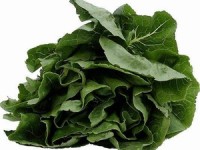Green smoothies: Full of health benefits or hype?