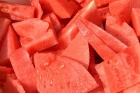 Watermelon peeler prototype almost ready; processor needed for test run