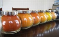 Global market for natural food colors