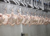 Dioxin chicken recall prompts questions from Food & Water Watch