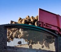 Outlook 2014: Sugar beet prospects