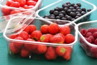 Holfeld Plastics is holding back time on fresh produce packaging