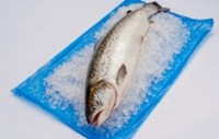 Sirane boosts range of liner products