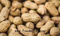Long History of Violations at Peanut Plant Linked to Salmonella Outbreak
