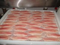 The United States to reduce import frozen tilapia fillets