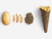 Potatoes as potato packaging