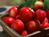 Organic apples can help you fight cancer