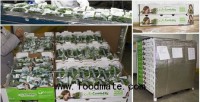Shipments of snack-sized cucumbers into China