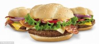 McDonald's starts testing THREE new Quarter Pounders in bid to turn franchise around