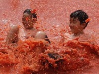 Korean tomato festival