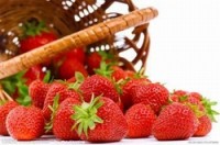 Fruit insecticide cleared against strawberry pests
