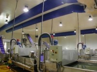 Ozone sanitation improves business performance