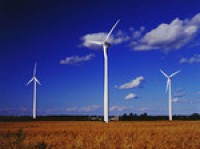 Save food industry from new energy rises