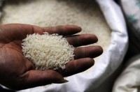 China grows rice on land contaminated with industrial waste