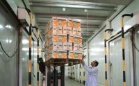 India seeks cold storage advise from New Zealand