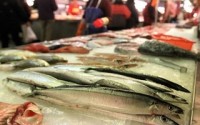Russia suspends Taiwanese saury imports