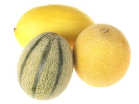 Good market for yellow and Piel de Sapo melons