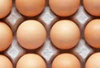 Tony Wasmund, Manager Of Egg Farm Behind Outbreak, Pleads Guilty To Bribing USDA Inspector