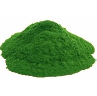 Allma enters microalgae market with premium chlorella powder
