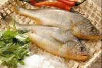 Argentina steps into China as local finfish, shrimp supplies run short