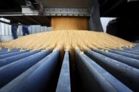 China rejection fears keep lid on U.S. corn futures