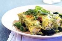 Basil chicken cannelloni on wilted spinach