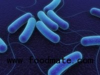E. coli O157 – Update 22 Oct 2012