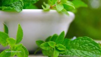 Everyday herbs that can heal people naturally