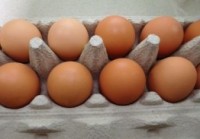 FDA Enlists NC State to Chart Transmission Routes for Salmonella