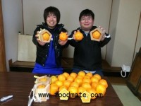 Japanese five-sided oranges won't roll off the table