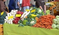 BEHR AG at the Food Market of the Hamburg Wholesale Market