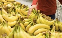 Rot-preventing banana spray-on coating prolongs their life