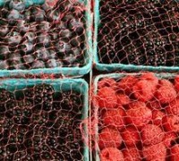 Highs and lows in frozen berry supply