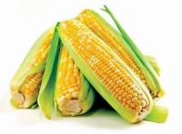 Top 5 healthy foods that fight sugar cravings