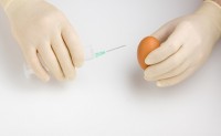 Study: Zapping Raw Eggs With Radio Waves Can Zap Salmonella