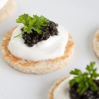 First North America caviar certified organic