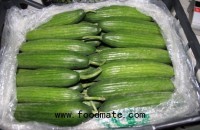Ser Pak announces successful cucumber vapour control results